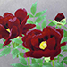 Kayo Yamaguchi Gallery